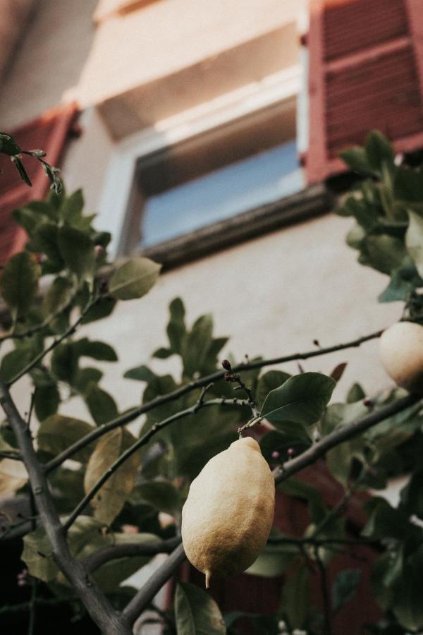 טייר La Maison Perchee מראה חיצוני תמונה